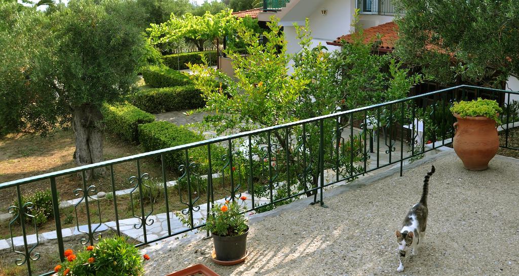 Aris Pension Agia Paraskevi  Exteriér fotografie